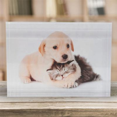 China Eco-friendly& Home Anti-Crack Acrylic Block Photo Kitten Puppy Replacement Perspex Clear Glass Block for sale