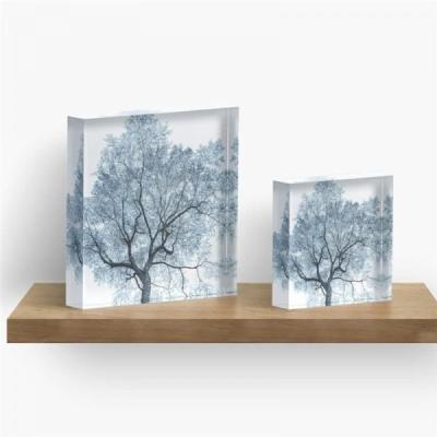 China Health Care Institute Clear Customized Acrylic Lucite Photo UV Printing Block Block Artwork Printing Block for sale