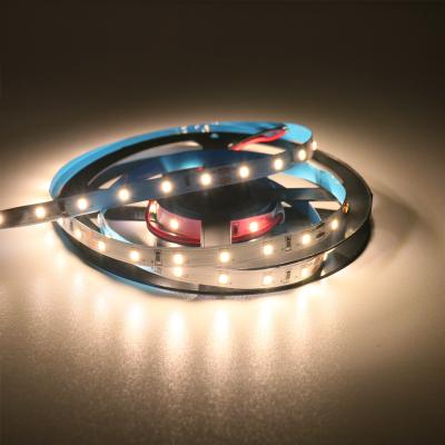 China LANDSCAPE 24V 5050 60LED/M 10MM IP33 IP20 CRI97 CRI97 98 LED CRI95 CRI97 98 LED Strip Lights Led Strips Bedroom for sale