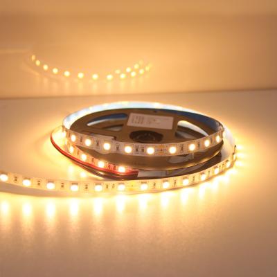 China High Bright LANDSCAPE Slim Dc12v 24v Led Tape 4mm 5mm Green Blue Red Warm White Flexible 120led Luces Led 2835 Led Strip Light for sale