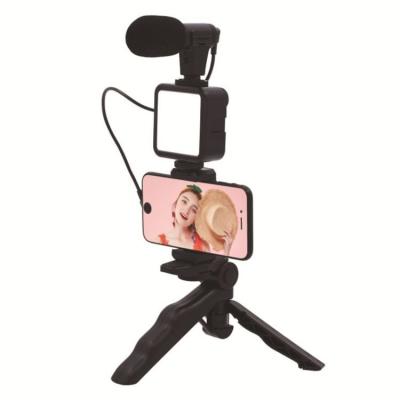 China Handheld Tripod with Remote Microphone and Lightweight Vlogging BT Kit 29*17*5.3cm for sale