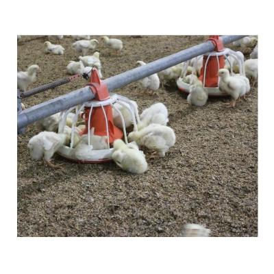 China Farms Animal Cages Chicken Farm Equipment With Animal Feeder / Nipple Drinking / Ventilation System / Environment for sale