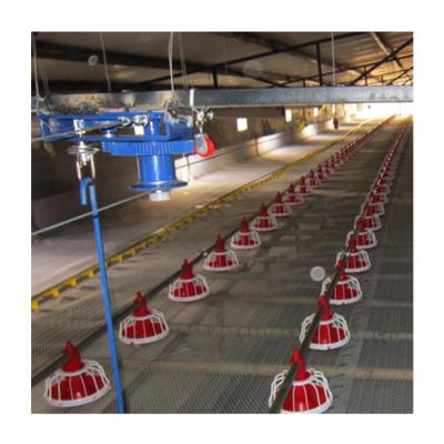 China Save Breed Good Poultry Farm Equipment Cost In China for sale