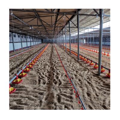 China Full Set Broiler House Automatic Equipment Chicken Farm for sale