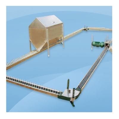 China Chicken Breeder Hot Sale Chicken Feeding System Breeding Chicken Chain Feeding Equipment for sale