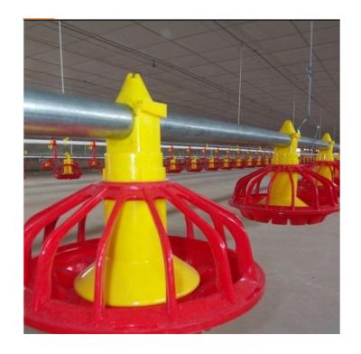 China Low Cost One Stop High Production Poultry Farm Equipment for sale