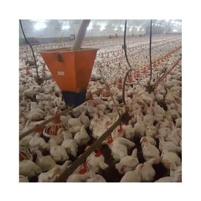 China Farms Animal Feeder Poultry Chicken Farm House Equipment For Broiler/Breeder/Laying/Chick for sale