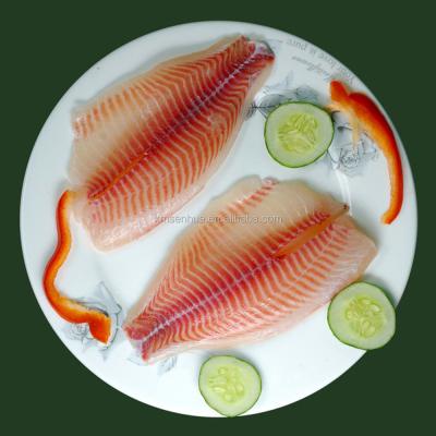 China Export FROZEN iqf tilapia fillet frozen fish for sale