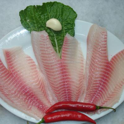 China FROZEN Red Tilapia Fillet Non Frozen Seafood Fish Co Treated for sale