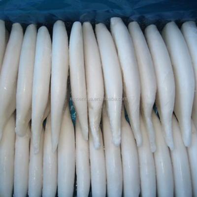 China Wholesale Frozen Squid Tube U5 Low Salt Frozen Seafood Squid for sale