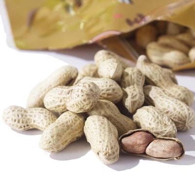 China Natural Popular Salted And Dried Peanuts Specialty Snack Salted Dried Peanuts for sale