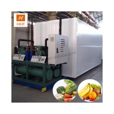 China Hotels Underground Cold Room Facility Bunker Rooms Cold Storage Cold Room Freezer Unit for sale