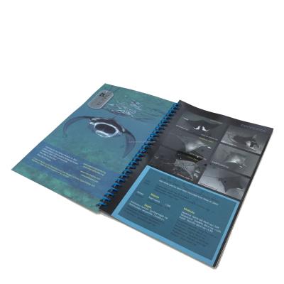 China paper & Waterproof Cardboard Tyvek Paper Print on Demand Booklet Printing Professional Photo Book Magazine Brochure Cheap Printing Services for sale