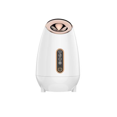 China Mist Humidifier Spa DEEP CLEANSING Facial Sprayer Moisturizing Sauna Nano Ionic Professional Face Vaporizador Facial Steamer for sale