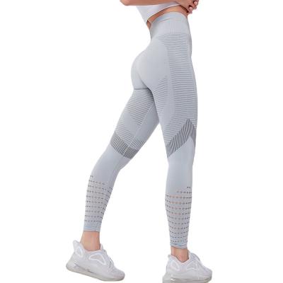 China Yingjiali Women Breathable Seamless Leggings Hollow Out Gym Fitness Running Stretch Leggings for sale