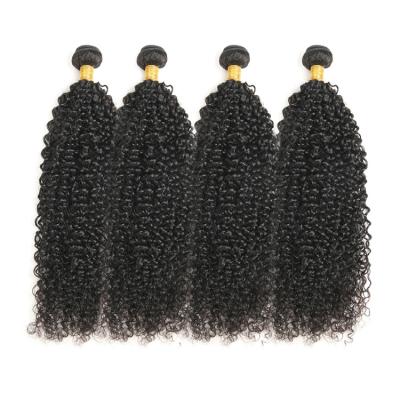 China 100% Malaysian Jerry Curl Human Hair For Virgin Hair Weave Jerry Curl Braiding Hair for sale