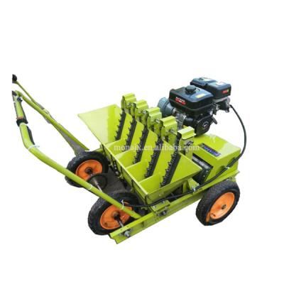 China Seed planting agriculture machinery garlic seeder garlic planter garlic planter price for sale