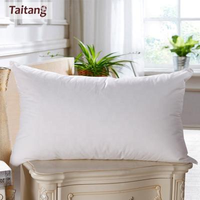 China Anti-Apnea Taitang New Arrival Soft Custom Size Luxury Hotel Pillow for sale