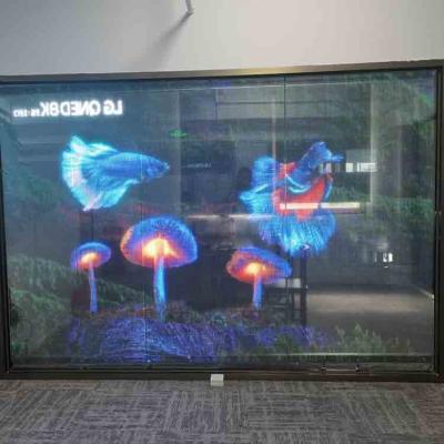 China Indoor Transparent LED Film Display Full Color Flexible Transparent LED Screen for sale