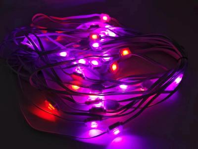 China RGBW Led Christmas Party Wedding Decoration Pixel Outdoor Point Lights for sale