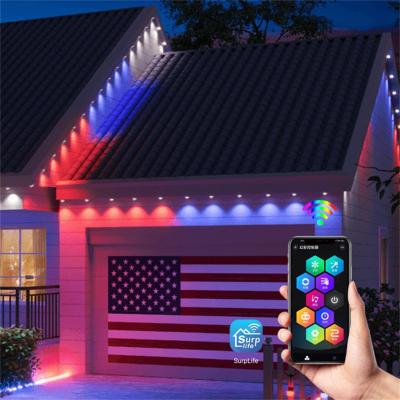 China Waterproof 24V Light Christmas  RGBW Outdoor Point Light Led Christmas Lights for sale