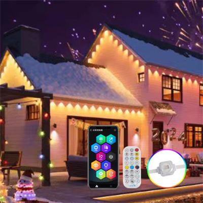 China Landscape Point Pixel Led Light Rgb Outdoor Holiday Decoration 12v Dot Led Permanent Christmas Light for sale