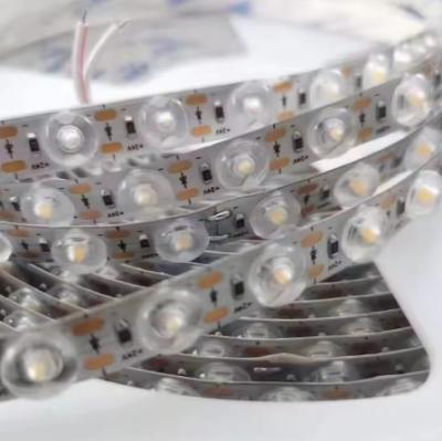 China New High Brightness Diffuse Reflection Light Strip 12mm 24V LED Strip Lights for sale