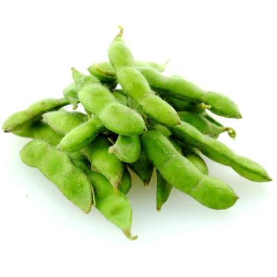 China Single Bean Less Than 3% Frozen Soybean / Japanese Style Edamame / Peeled Edamame for sale