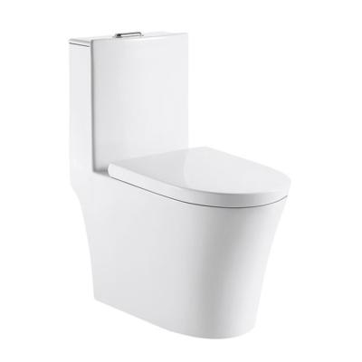 China Hidden flushing classic ceramic tank Siphonic water-saving closestool classic white closestool for sale for sale