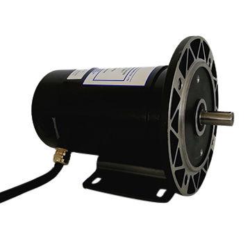 China New Market Totally Enclosed Brake Motor Products For Mini Lift 200w/1500rpm 24 Volt Dc Vibration Motors for sale