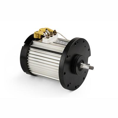 China Best selling products totally enclosed in Italy BLDC 24v dc traction motor for electric vehicle for sale