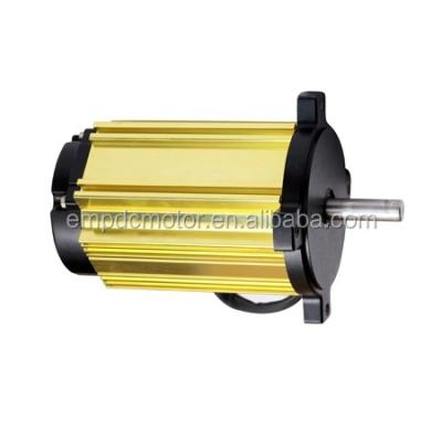 China Totally Enclosed Unique Products Made In Porcelain High Rpm 180v 1000 Watt Dc Brushless Motor 5000rpm for sale