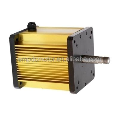 China China Products Totally Enclosed Purchase 48v 1000w Online Brushless DC Motor For Electric Vehicles for sale