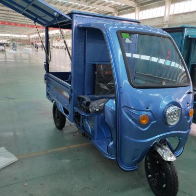 China Factory Direct Selling Wheels Hot Adult Drive Electric Express Passenger Tricycle For Ice Cream for sale