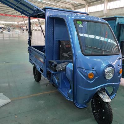 China 2021 Express Electric Enclosed Tricycle Passenger Electric Cargo Bike for sale