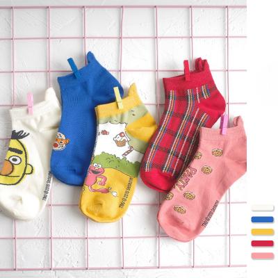 China Newest Arrival 2021YL Autumn And Summer New Arrival Thin Sock Panel Cartoon Anklr Women Cotton QUICK DRY Socks for sale