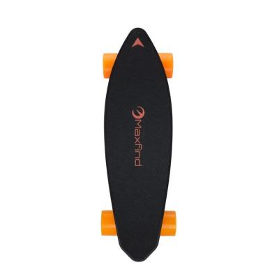 China Complete Skateboard Electric Waterproof Longboard Mini Electric Skateboard for sale