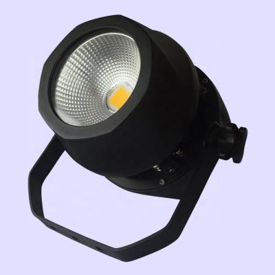 China Stage RP Outside Party Event Arena Garden Building Seal Cool Warm White Dual Color Strobe DMX 2in1 200W LED Par Can Light for sale