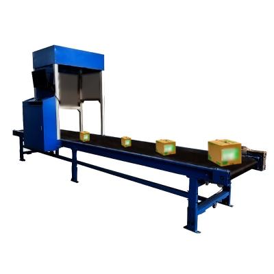 China Multiple barcodes read in one 2D QR 1D barcode reading scanning belt conveyor machine for large scale outbound warehousing for sale