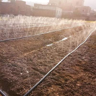 China Plastic Micro Suction Irrigation Plastic Strip For Agriculture for sale