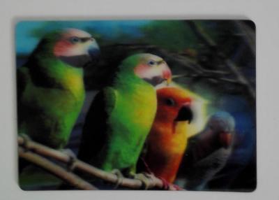 China UV Offset PET Plastic Customised Fridge Magnets with ISO9001 Cerification for sale