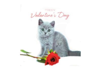 China Customised Valentine'S Day 3D Greeting Card Offset Printing 3D Card In PP Plastic for sale