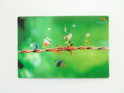 China 3D Multi Color Printing PET 3D Lenticular Postcards With Custom Size SGS for sale