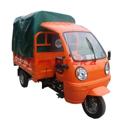 China Passenger Passenger Cargo And Passenger 250cc Engine 4 Stroke Three Wheel Water Cooled Motorcycle for sale