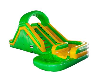 China Aldult  Outdoor Rental Inflatable Large Water Slides With Bouncy for sale