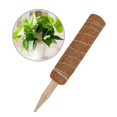 China 45cm Coconut Plant Stick Eco-friendly Coir Moss Pole For Garden Support Extension for sale