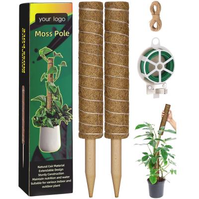 China Falcon 2022 Modern Seedling Groove 12 Inch 16 Inch 20 Inch Garden Plant Support Moss Pole Stakes For Monstera Plants for sale