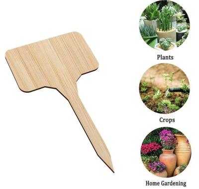 China Garden Accessories Hot Sale Moss Pole Or Plant Labels For Garden for sale