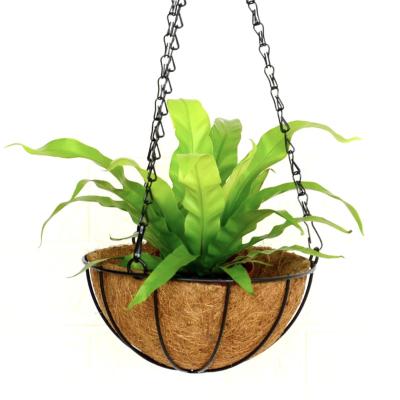 China CLASSIC New Design Semicircle Metal Flower Basket New Design Cocos Liner Hanging Planter Pot for House Garden Decoration for sale