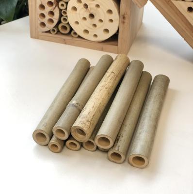 China Breathable Custom Bamboo Bee Tube 6-10mm Diameter Replaced Mason Bee Nest Tubes Bamboo for sale